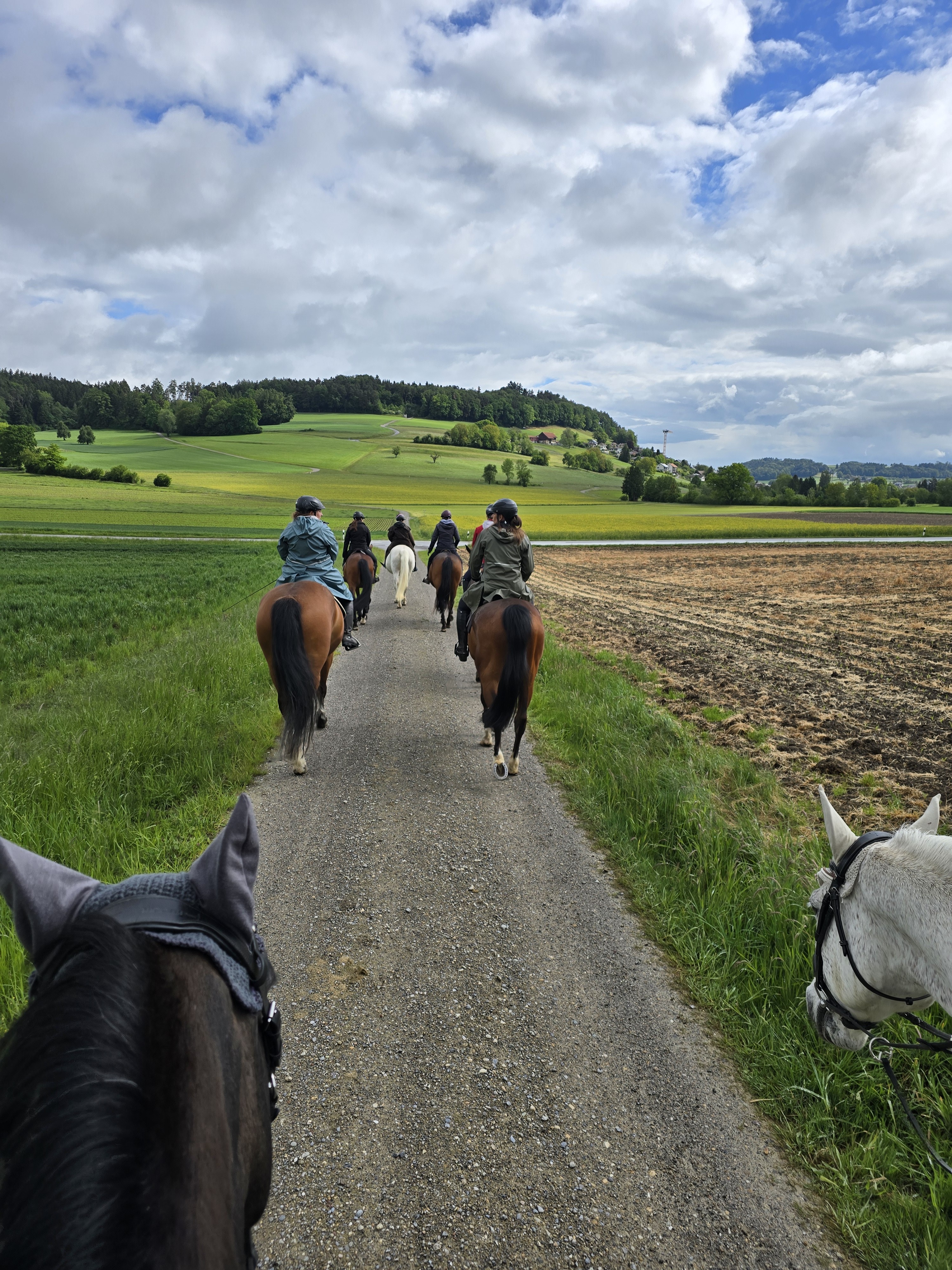 Auffahrtsritt26