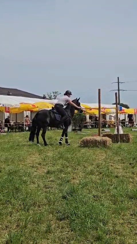 Corinne Gymkhana